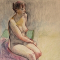 2009 watercolour pencils and inks life drawing