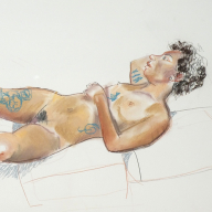 life drawing in pastels on cartridge paper - ' Harley' 2016