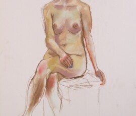 life drawing in pastels on cartridge paper- 'Rosie' 02-03-17 life drawing in pastels on cartridge paper- 'Rosie' 02-03-17