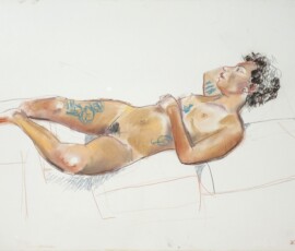 life drawing in pastels on cartridge paper - ' Harley' 2016 life drawing in pastels on cartridge paper - ' Harley' 2016